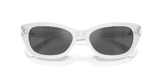 Swarovski Sunglasses SK6019F