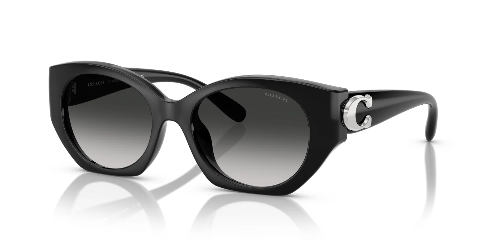 Coach Sunglasses HC8407U