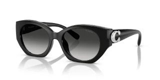 Coach Sunglasses HC8407U