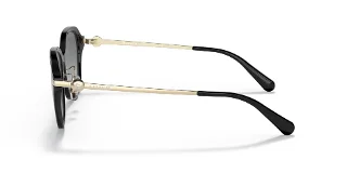Coach Sunglasses HC8332D