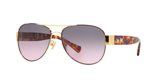 Coach Sunglasses HC7059 L138
