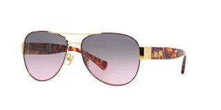 Coach Sunglasses HC7059 L138