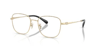 9005 Shiny Light Gold
