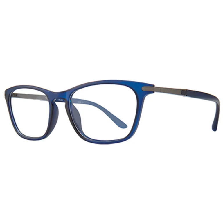 Georgetown Eyeglasses GTN790