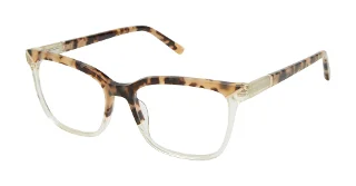 TOR Tortoise / Champagne