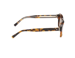 Abercrombie & Fitch Sunglasses AF00036