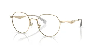 9005 Shiny Light Gold