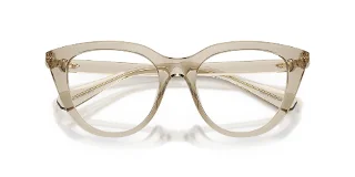 Swarovski Eyeglasses SK2052