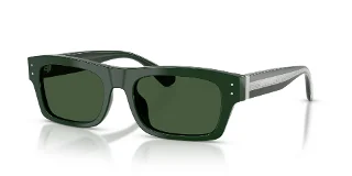 Dolce & Gabbana Sunglasses DG4560