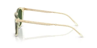 Ralph Lauren Sunglasses RL8233U