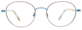 Easyclip Eyeglasses EC642