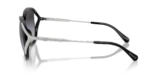 Coach Sunglasses HC8396U