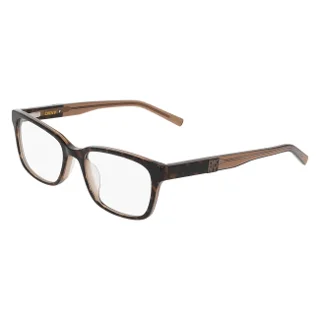 272 Brown Tortoise