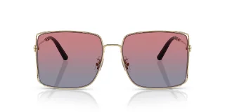 Coach Sunglasses HC7174D