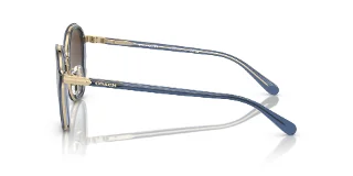 Coach Sunglasses HC7154