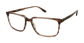 BROWN HORN