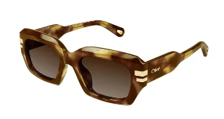 Chloe Sunglasses CH0256S