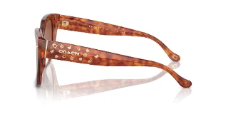 Coach Sunglasses HC8392U