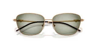 Emporio Armani Sunglasses EA2170