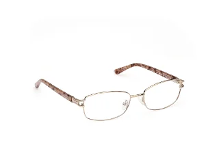Viva Eyeglasses VV8001
