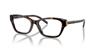 1964 Dark Tortoise