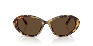 Dolce & Gabbana Sunglasses DG4570