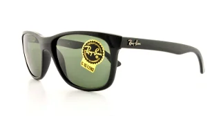 Ray Ban Sunglasses RB4181