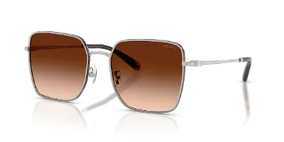 94775M Silver/Dark Tortoise