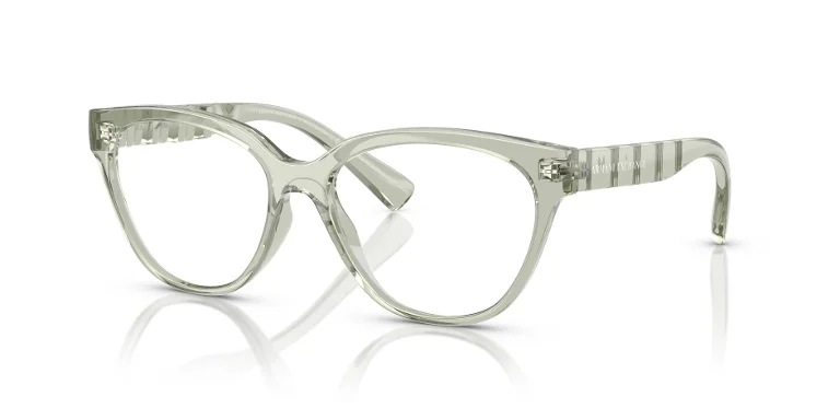 Armani Exchange Eyeglasses AX3117U