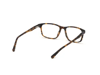 Skechers Eyeglasses SE3229