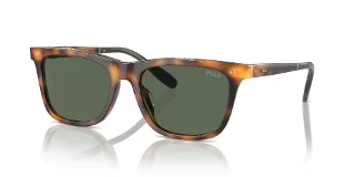 Polo Sunglasses PH4205U