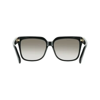 Salvatore Ferragamo Sunglasses SF2109S