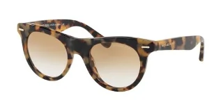 301313 Vintage Tortoise