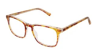 Perry Ellis Eyeglasses PE 443