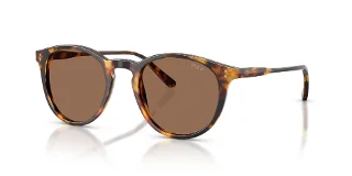 513473 Shiny Antique Havana