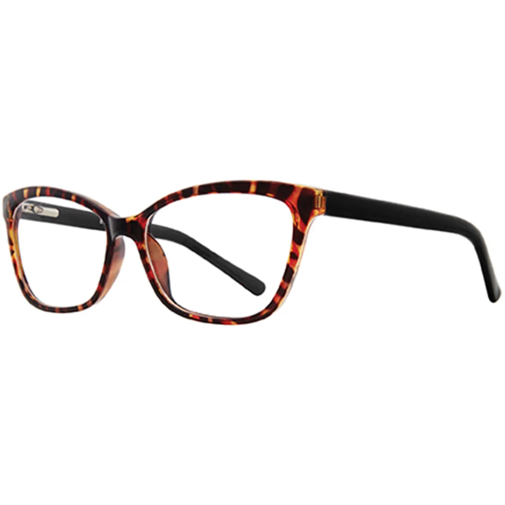 Stylewise Eyeglasses SW445