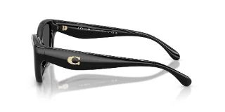 Coach Sunglasses HC8434U
