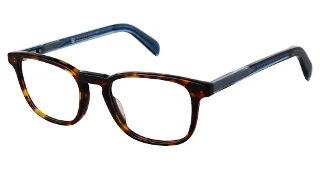 C02 Tortoise