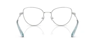 Swarovski Eyeglasses SK1022