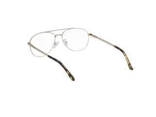 Hollister Eyeglasses HL50018