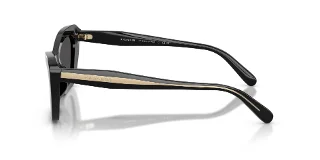 Coach Sunglasses HC8452U