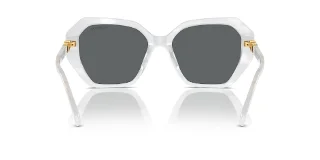 Swarovski Sunglasses SK6017F