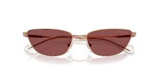 Emporio Armani Sunglasses EA2174B