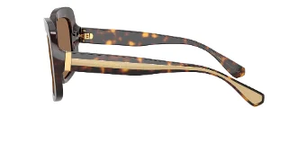 Dolce & Gabbana Sunglasses DG4557