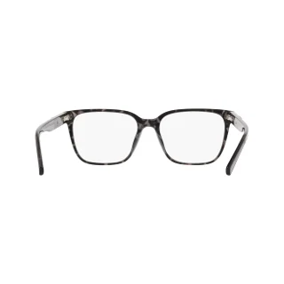 Dkny Eyeglasses DK5101