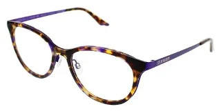 Purple Tortoise
