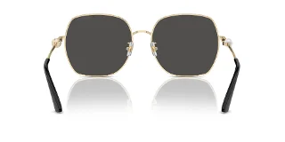Jimmy Choo Sunglasses JC4008HD