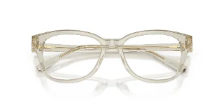 Swarovski Eyeglasses SK2073