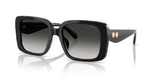 Coach Sunglasses HC8424F