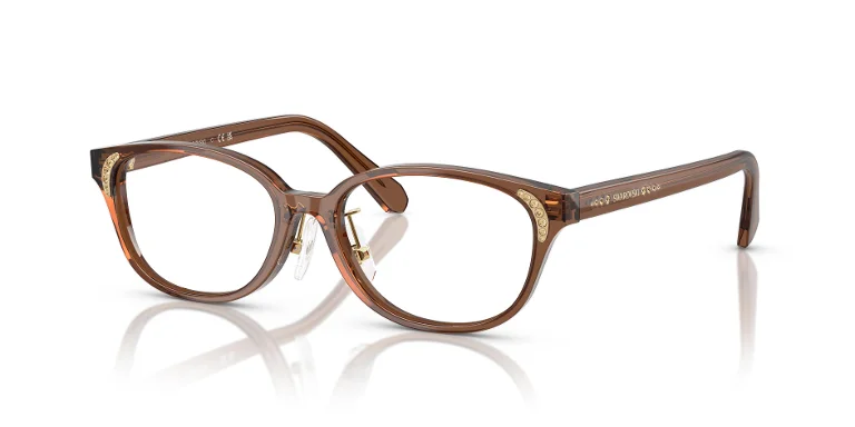 Swarovski Eyeglasses SK2040D